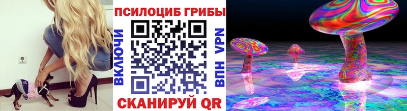 Галлюциногенные грибы мицелий  цены наркотик  omg сайт  Болохово 